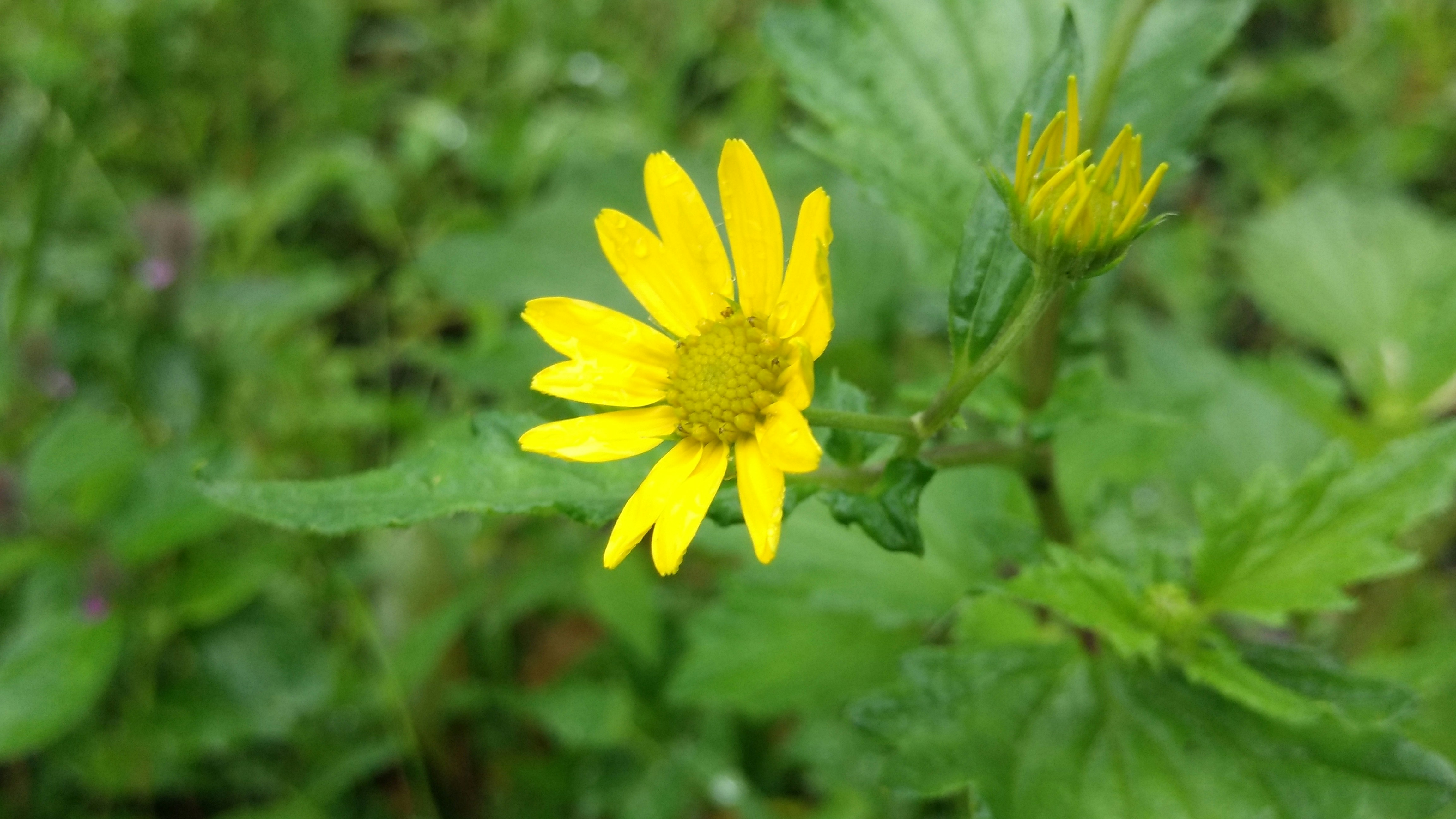 Free Unsplash photo from Jígär Jígär