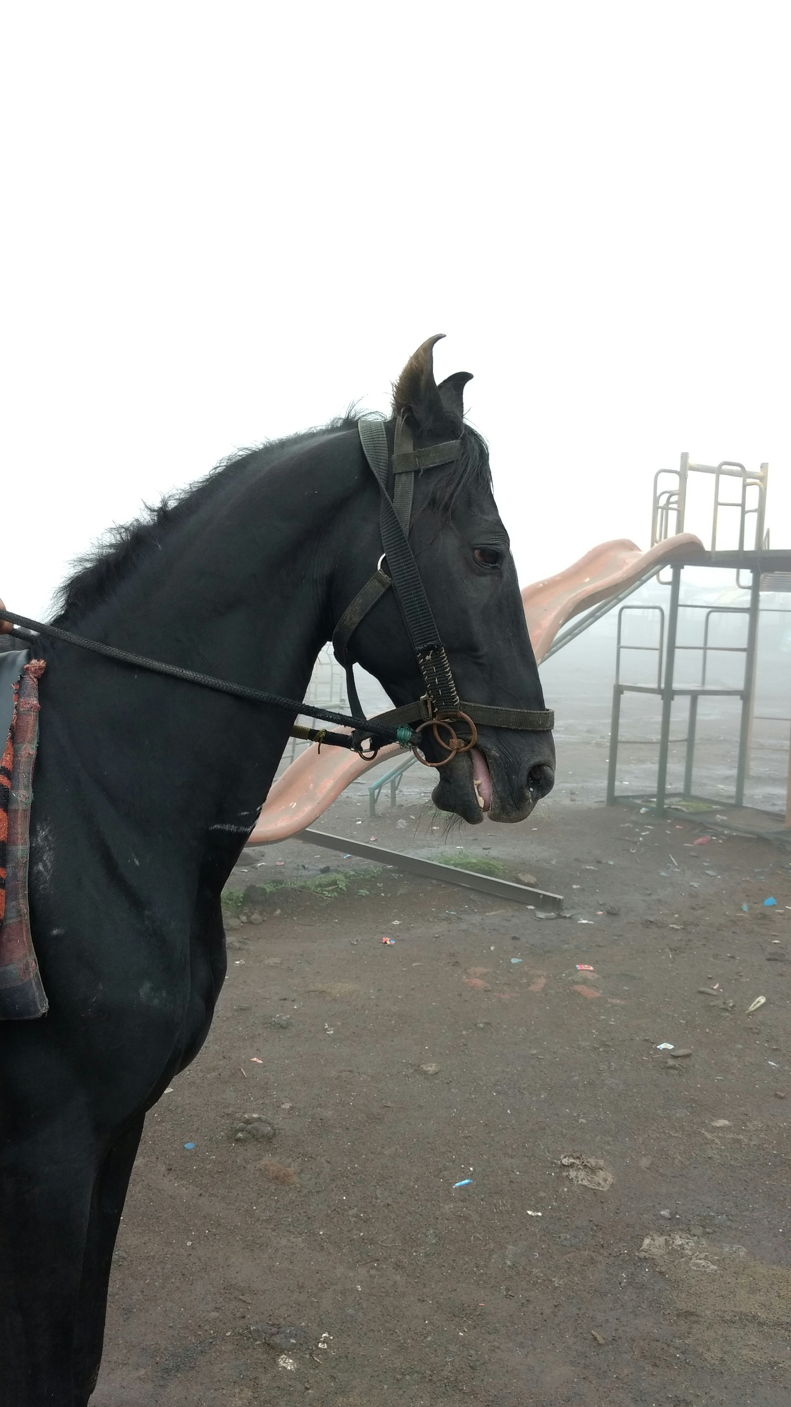 Free Unsplash photo from Jígär Jígär