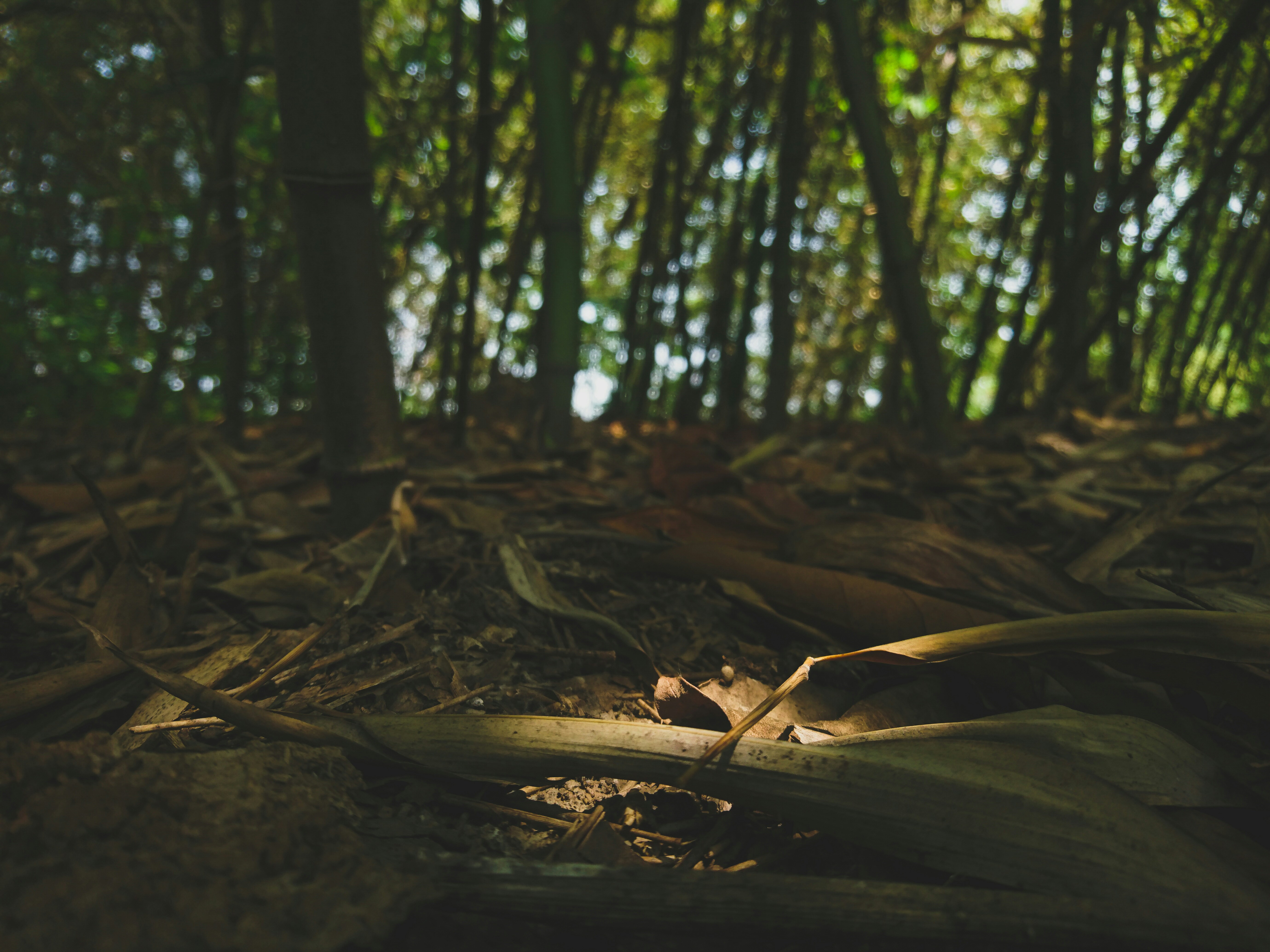 Free Unsplash photo from Azure Dean