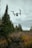 quadcopter drone flying in mid-air during daytime