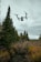 quadcopter drone flying in mid-air during daytime