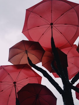 Several red umbrellas are positioned closely together, viewed from beneath with their handles extending upwards like branches of a tree against a cloudy sky.