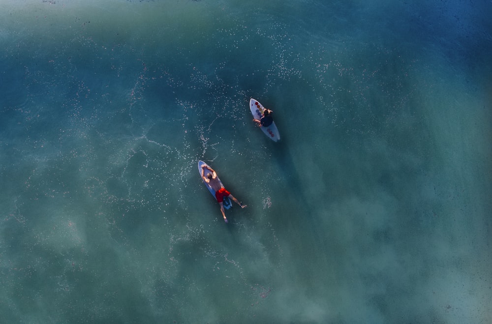 Photographie de vue de dessus de deux personnes sur une planche de surf bleue pendant la journée