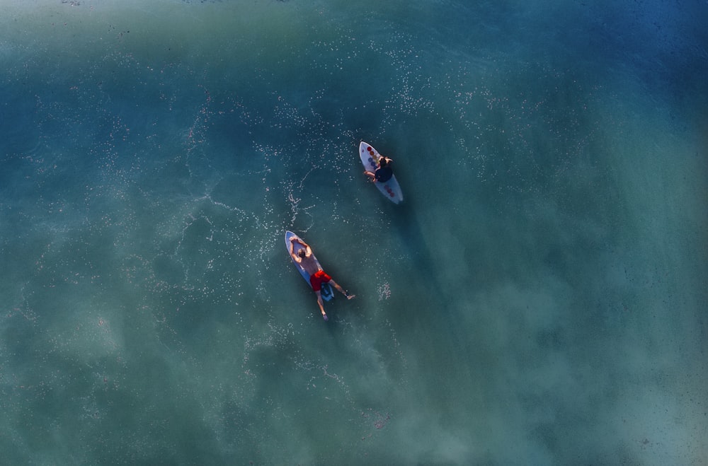 Fotografía de la vista superior de dos personas en una tabla de surf azul durante el día