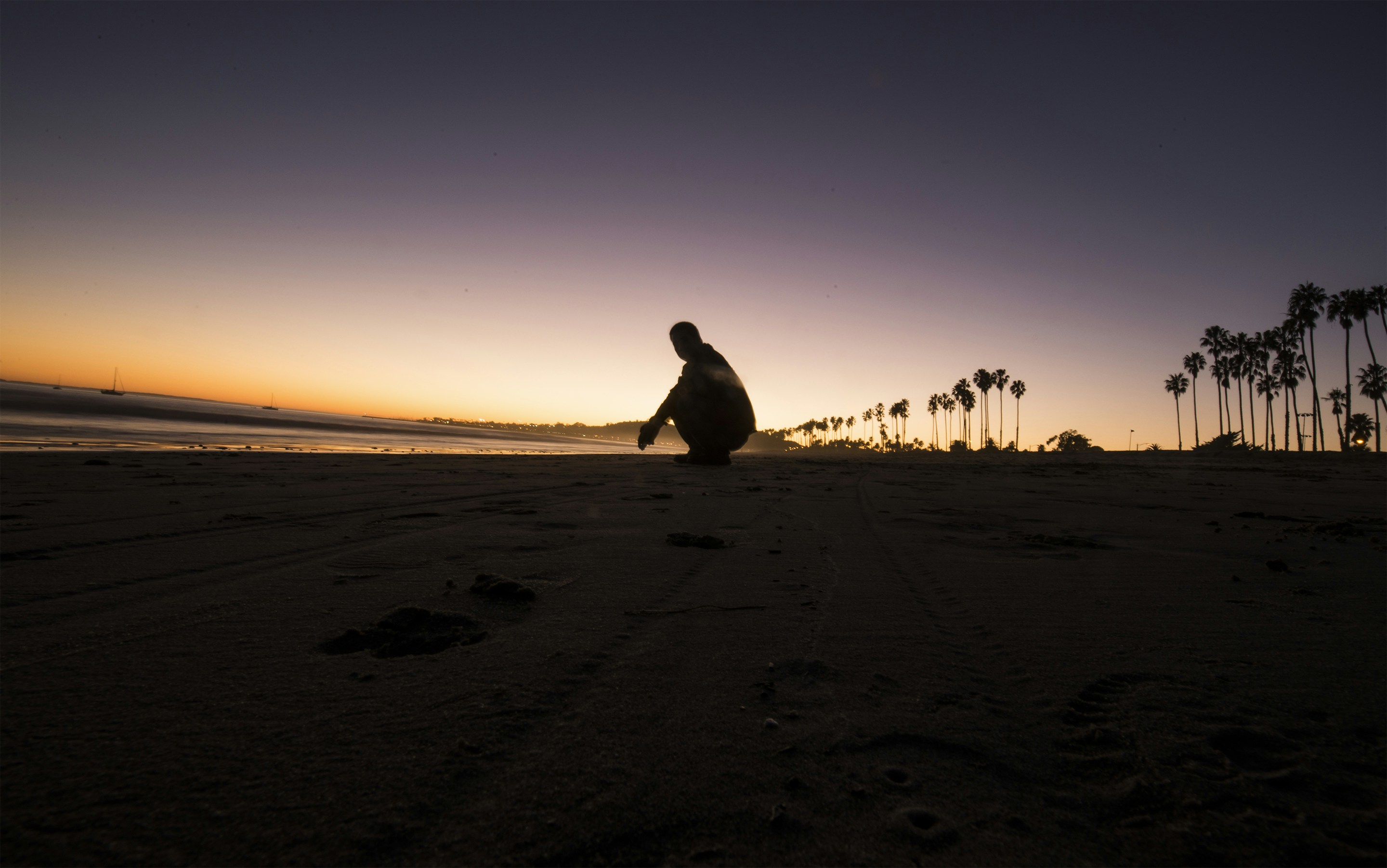 Free Unsplash photo from Wang John