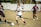 A young soccer player in a white jersey and blue shorts is dribbling a soccer ball on a grassy field, surrounded by opposing players in maroon jerseys. The scene suggests active gameplay with focused expressions and dynamic movement. The background includes a blurred fence and trees.