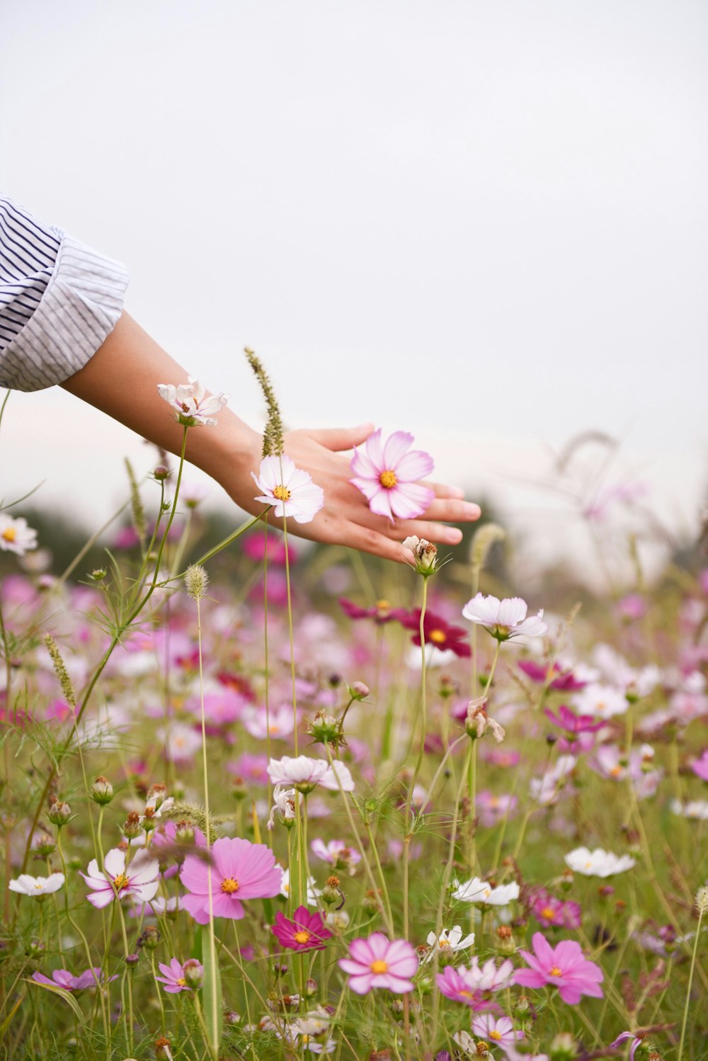 Frau mit rosa Blütenblättern