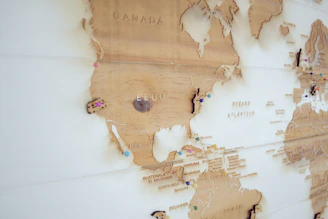 A vintage map of North America with hand-drawn family tree branches spreading across the continent.