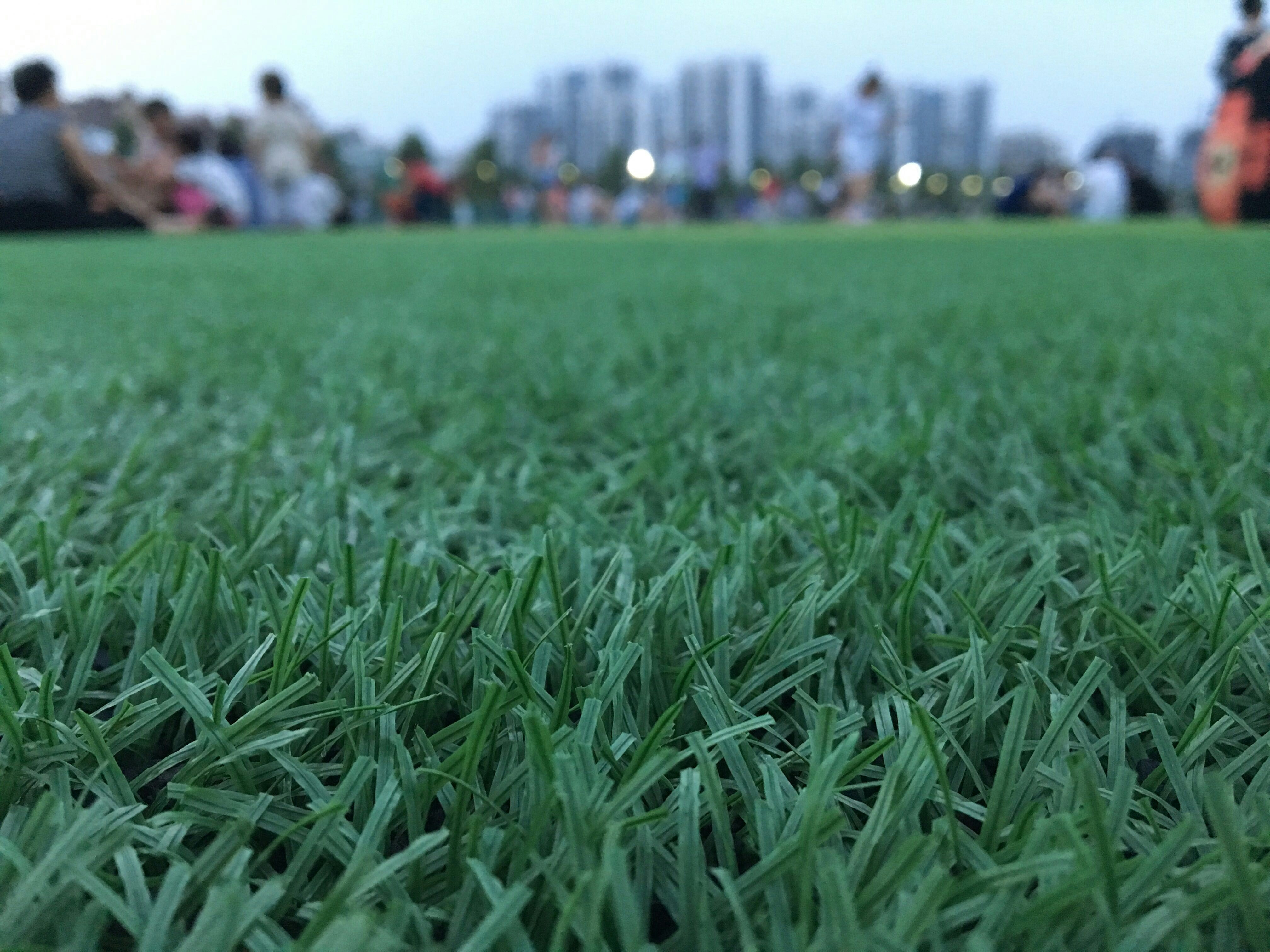 Free Unsplash photo from Tian Haoxuan