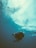 A scuba diver is submerged underwater with visible air bubbles rising towards the surface. The person is equipped with scuba gear including an oxygen tank. The water has a blue-green tint and light filters from above, creating a serene atmosphere.