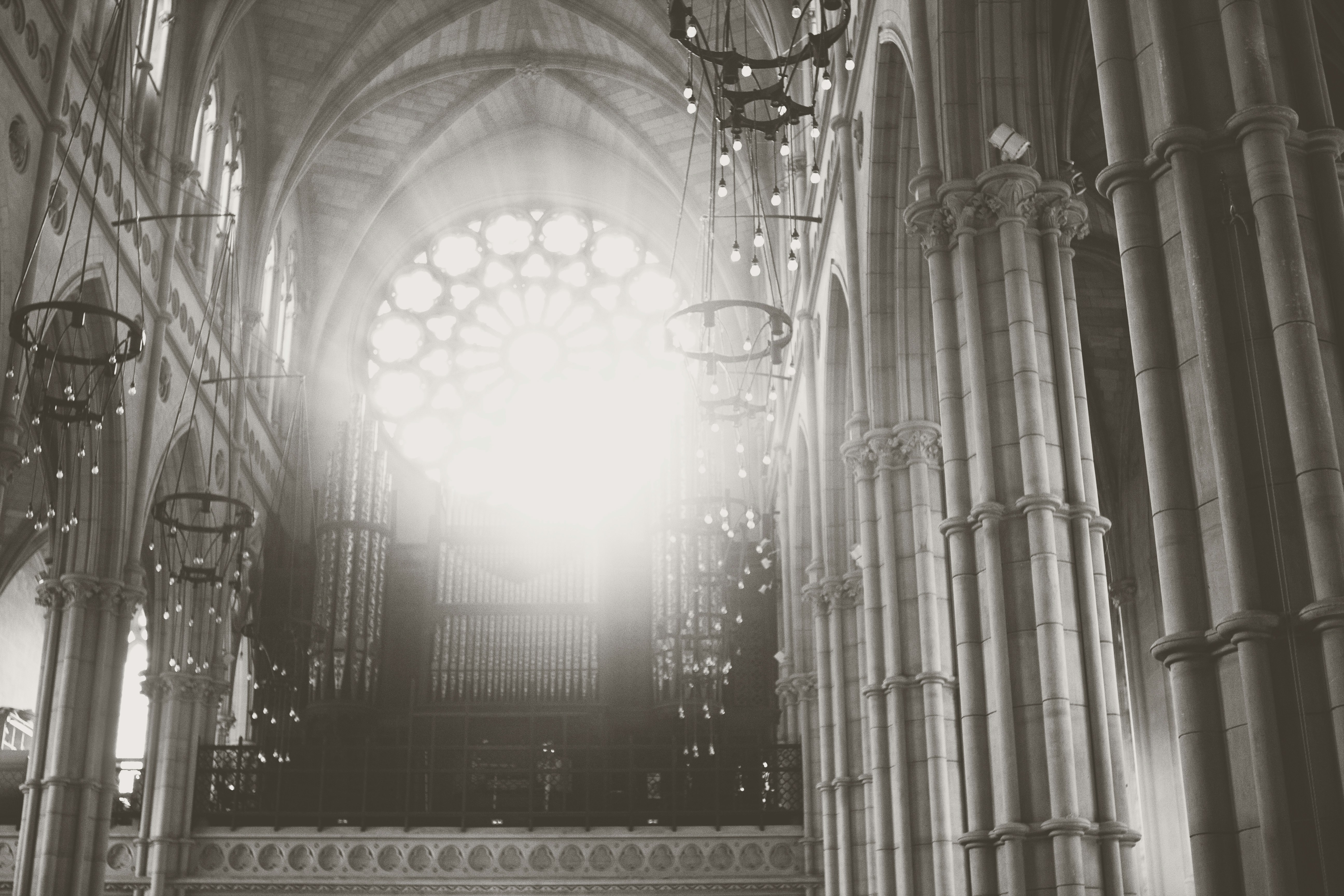 Free Unsplash photo from Kenna Davis