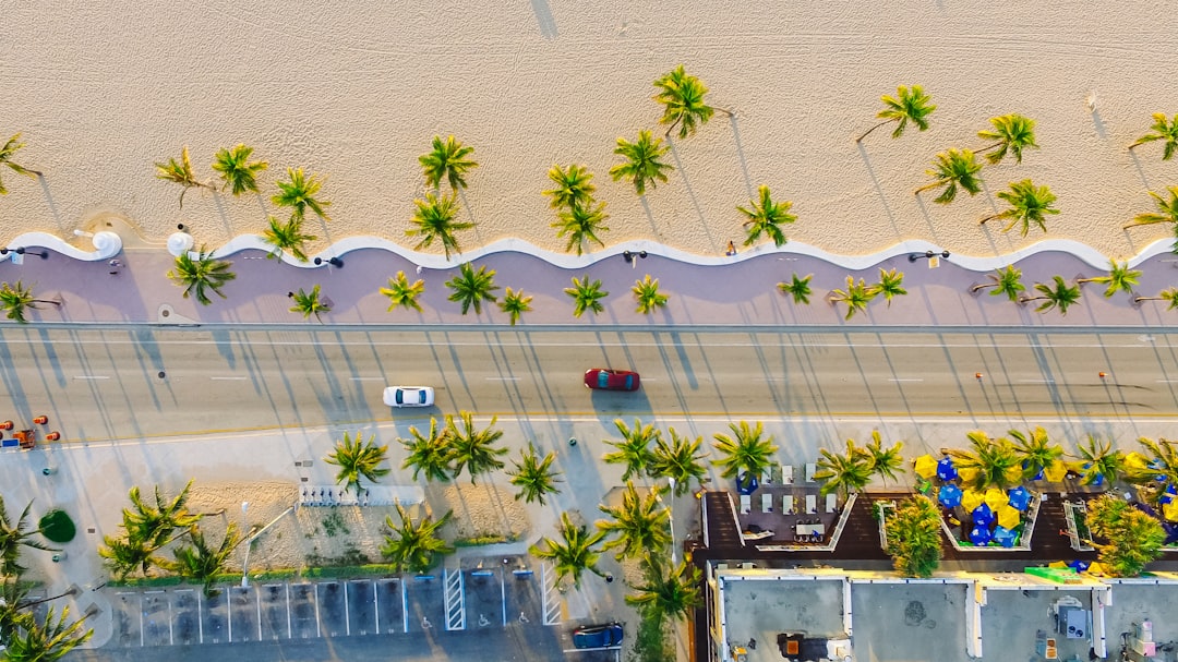 high-angle photography of two red and white vehicles on concrete road between trees and buildings at daytime, Palm tree-
