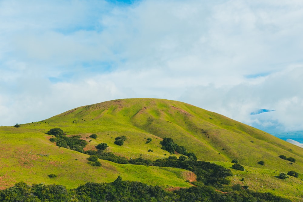 montanha verde