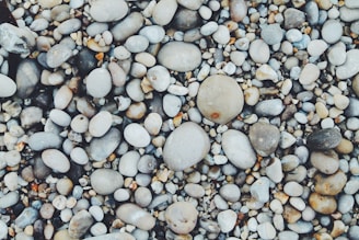 white and brown pebbles