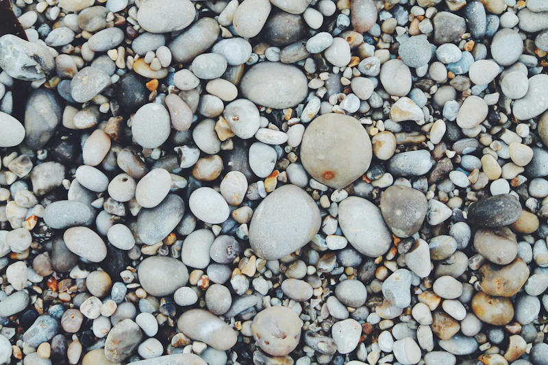 Smooth white and brown pebbles