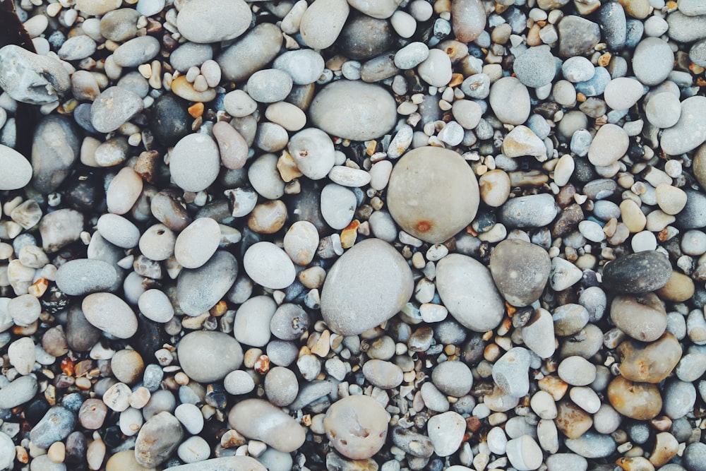 white and brown pebbles
