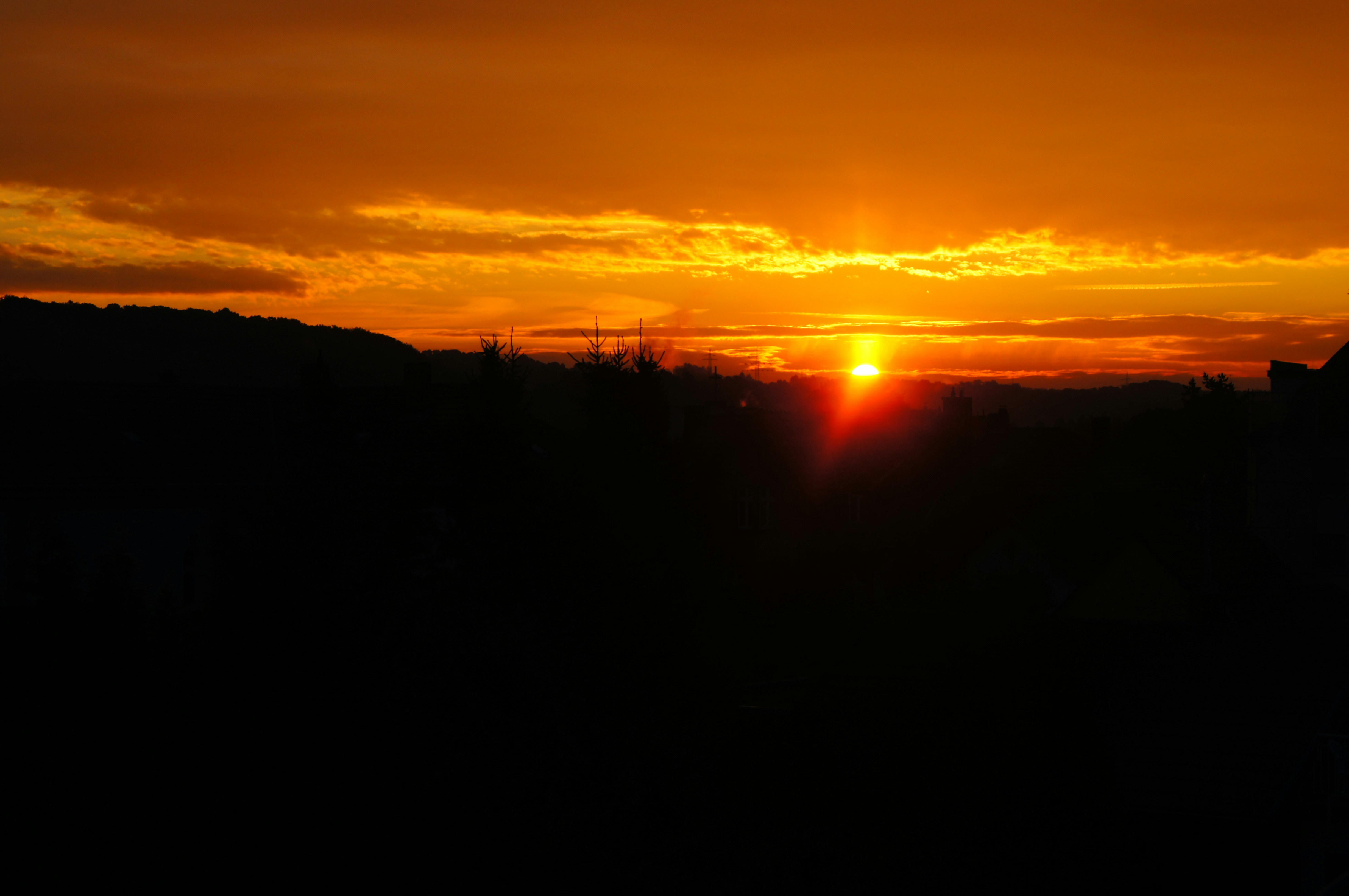 Free Unsplash photo from Janina Kalsch