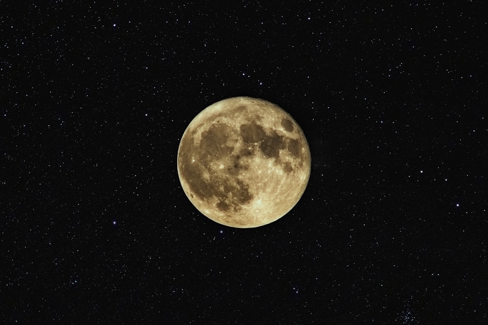 close up photography of moon