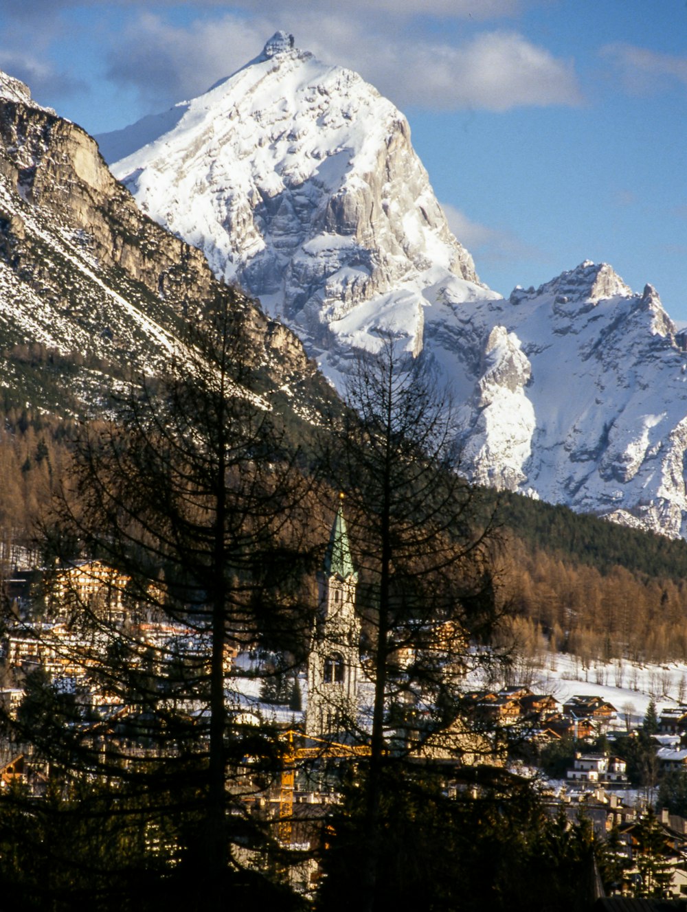 Blattlose Bäume neben Bergen und See