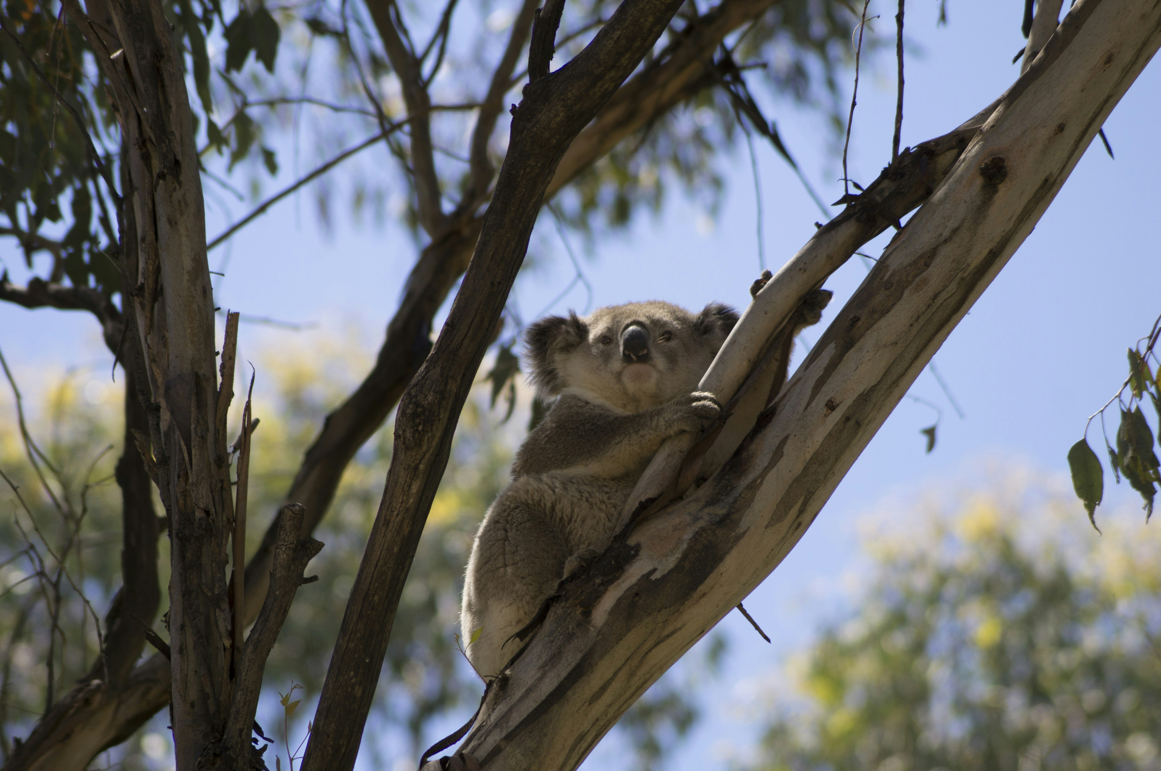 Free Unsplash photo from abstractal