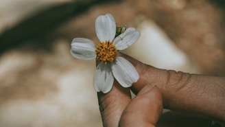 A gentle hand holding a small blooming flower against a soft pastel background.