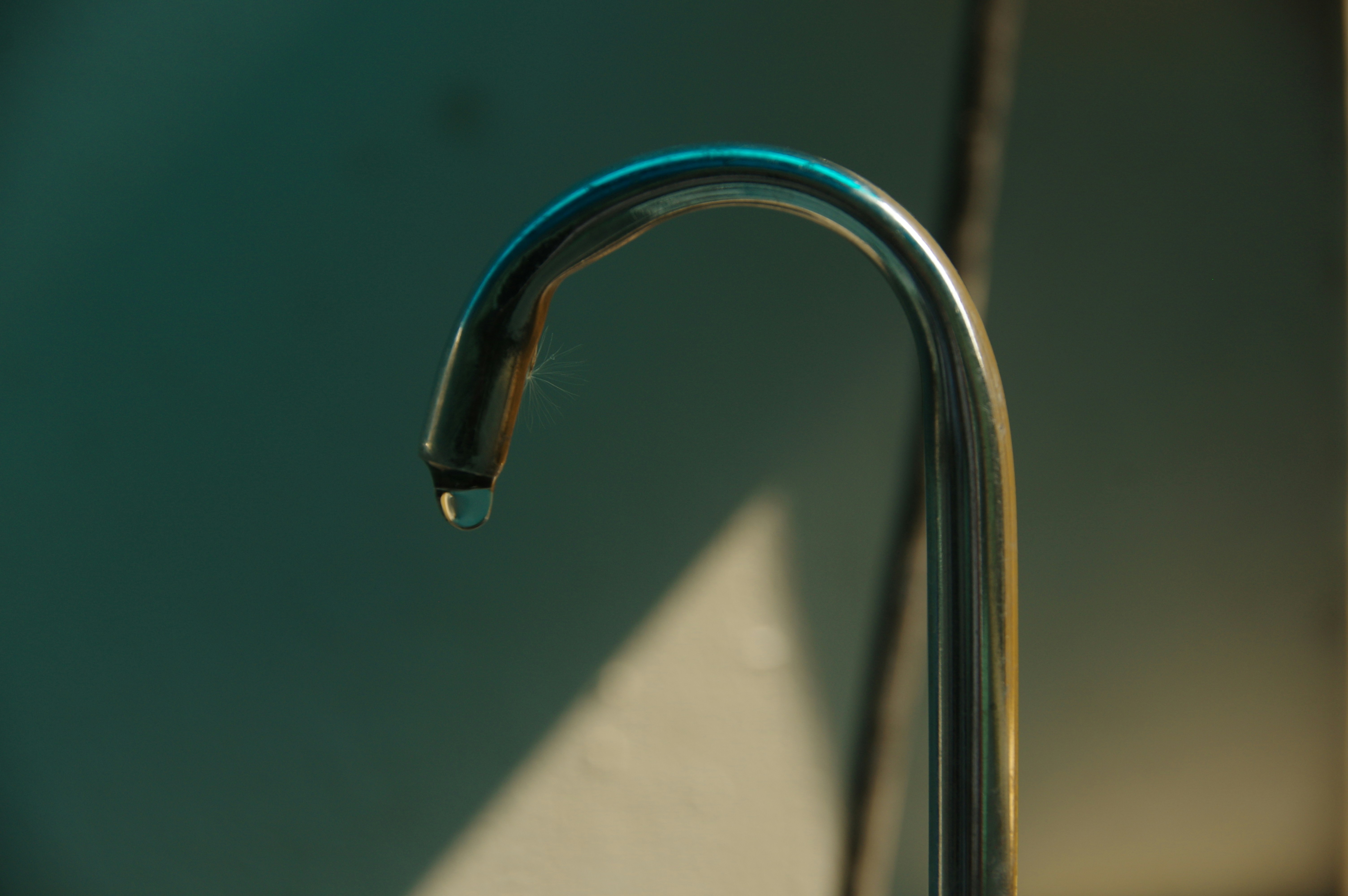 Free Unsplash photo from Hamza Siddiqui