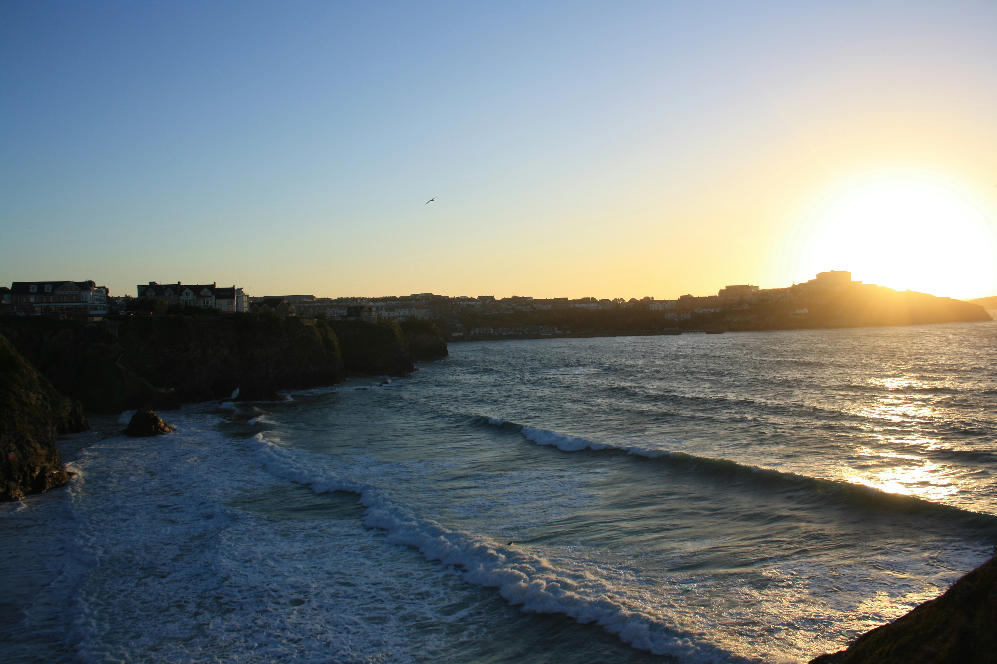 Free Unsplash photo from Raphael Richter