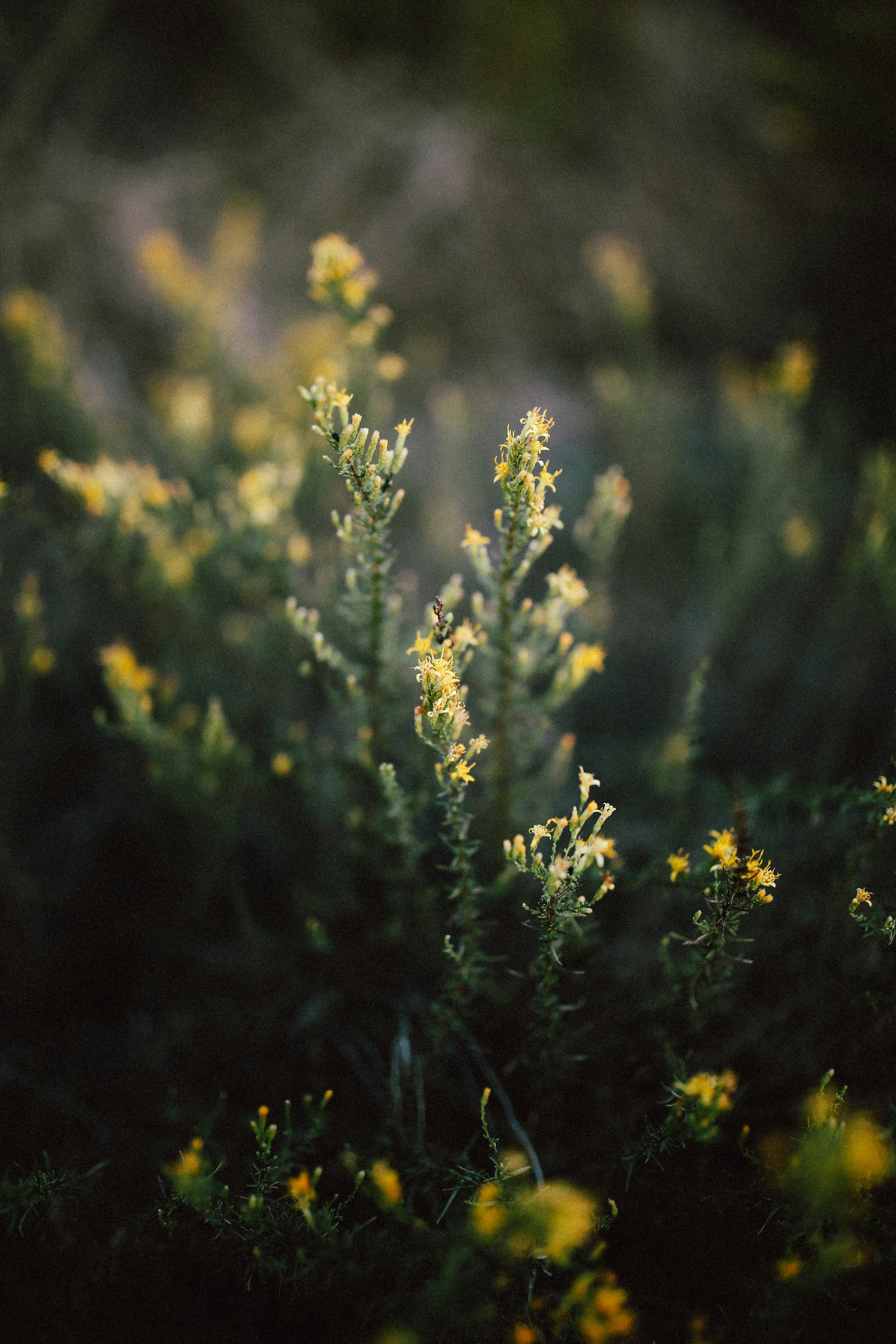 Micro‑Travel & Weekend Retreats: Designing Culinary‑Legal Estate Planning Getaways