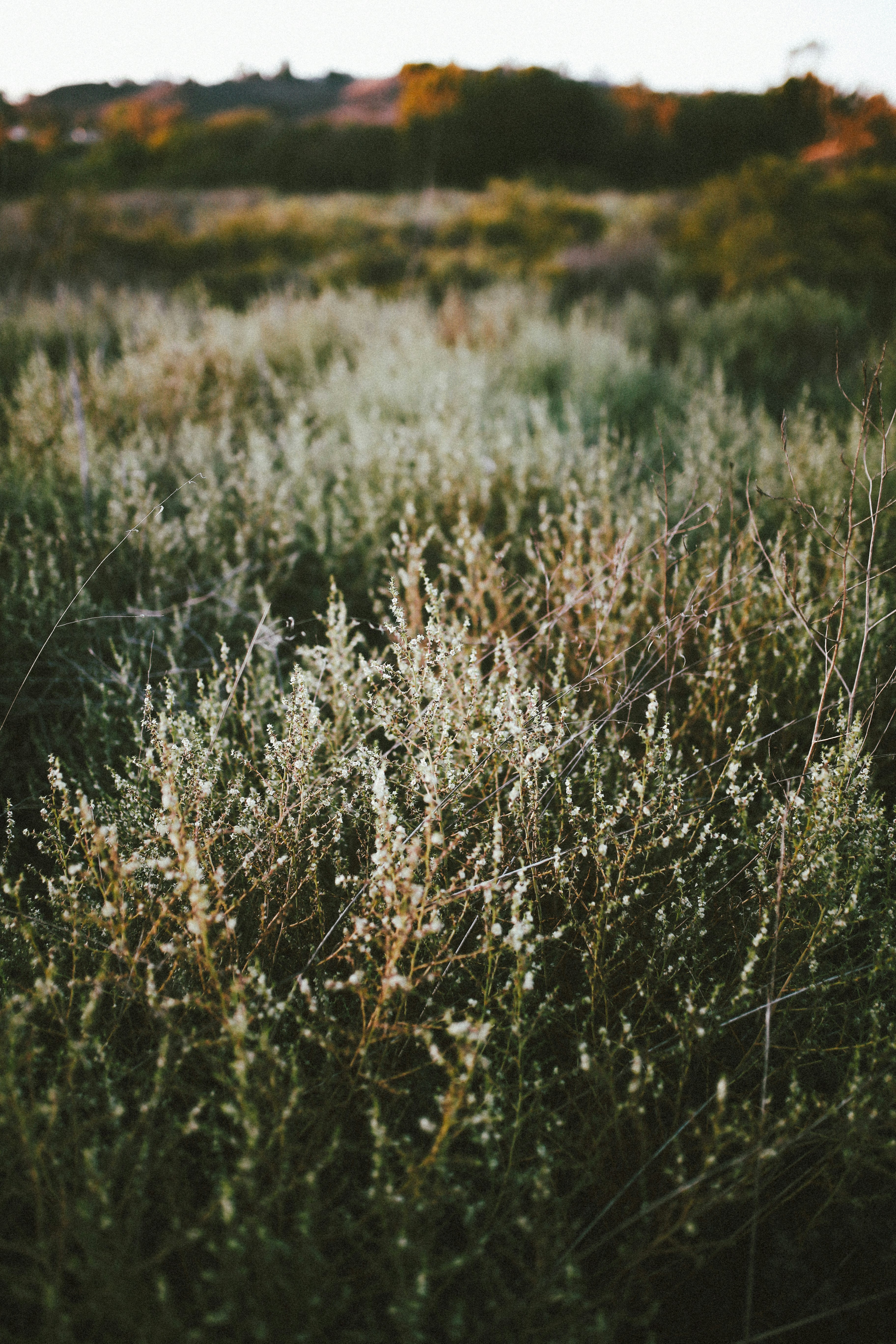 Weekend Micro-Adventures: Practical Planner for 2026 Creators