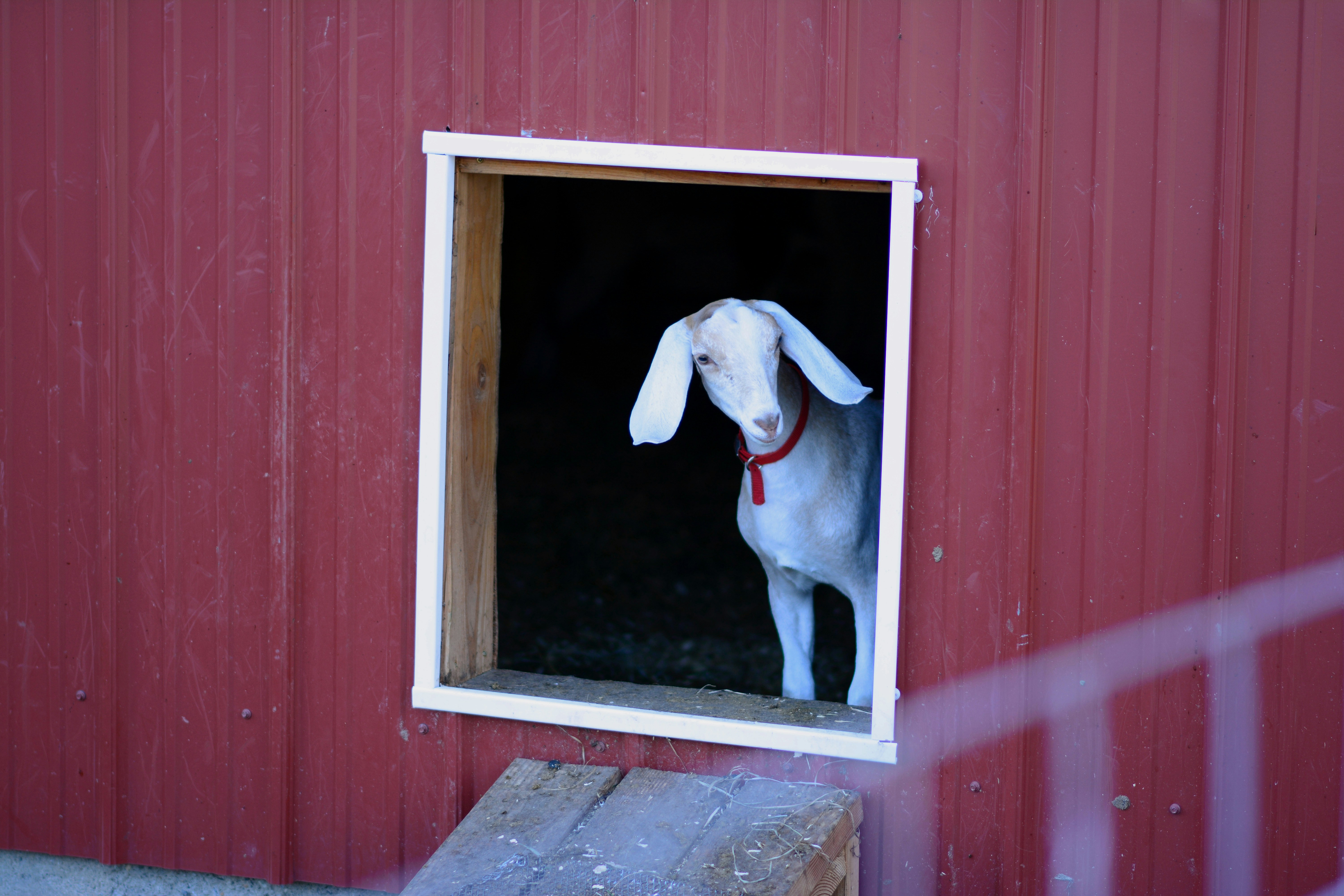 Free Unsplash photo from Gregory Mirzayantz