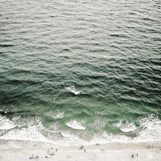 people near on water wave in Gulf Shores United States