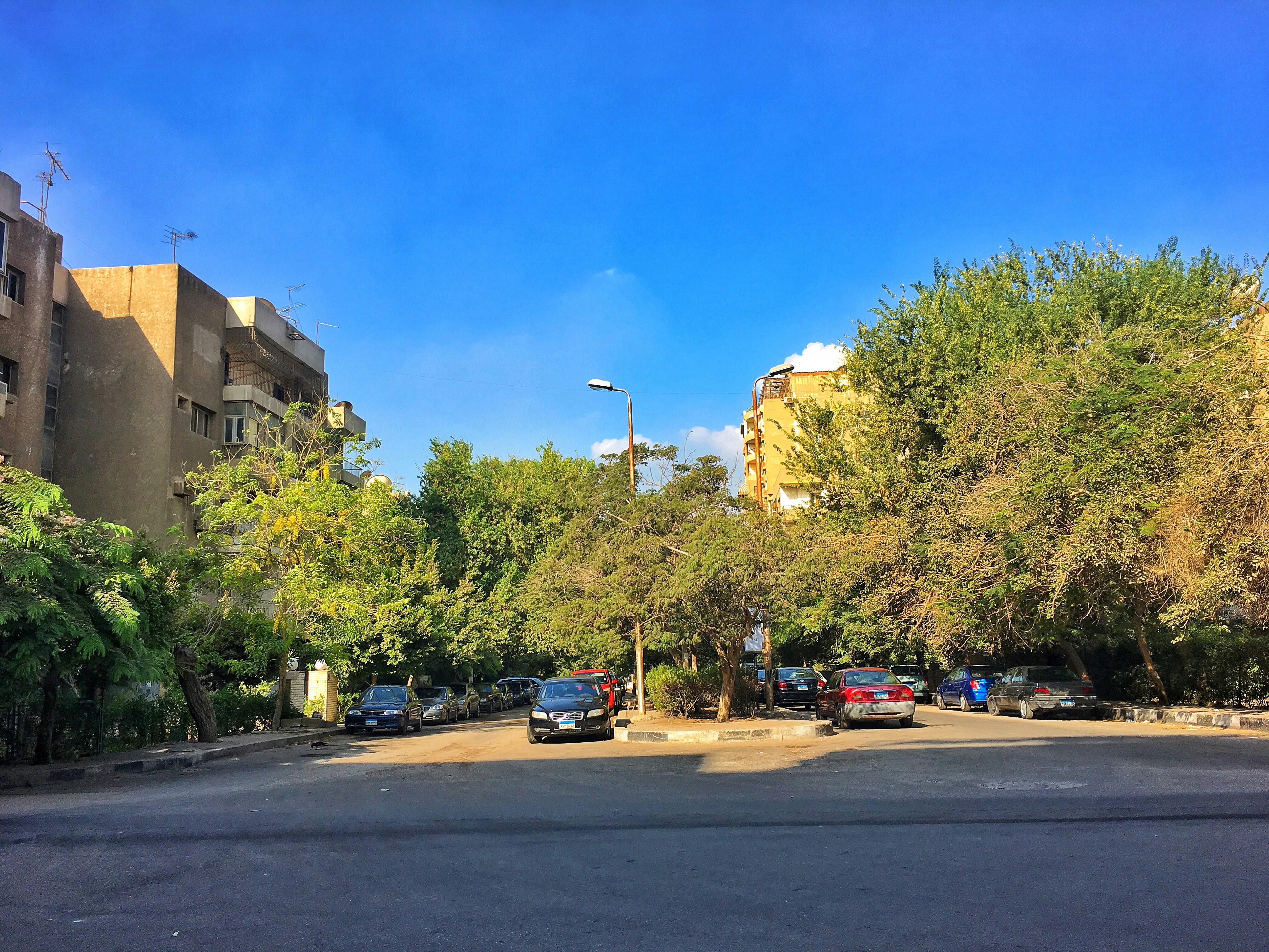 Free Unsplash photo from Youssef Yasin