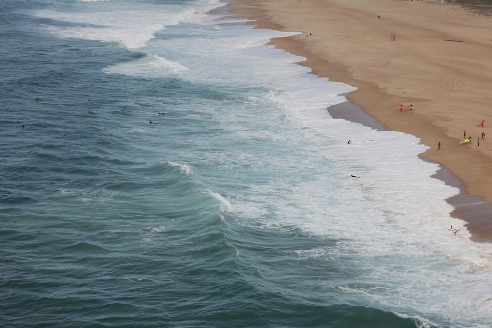 photo of people on shoreline