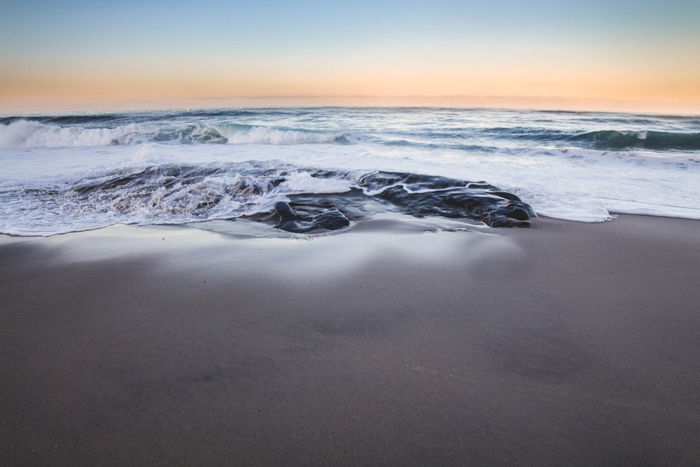 costa gris cerca del cuerpo de agua