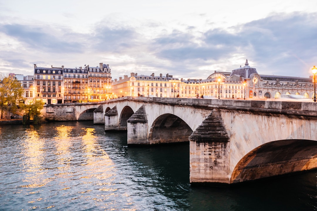 bridge near body of water, Illuminated bridge on Seine
