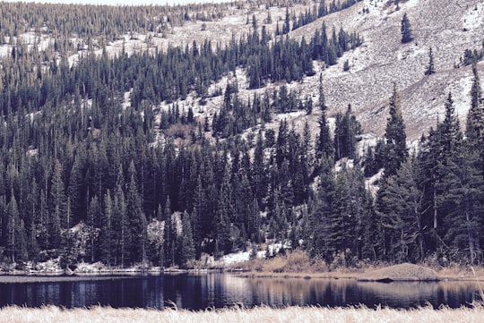 pine trees near body of water in Eldora United States