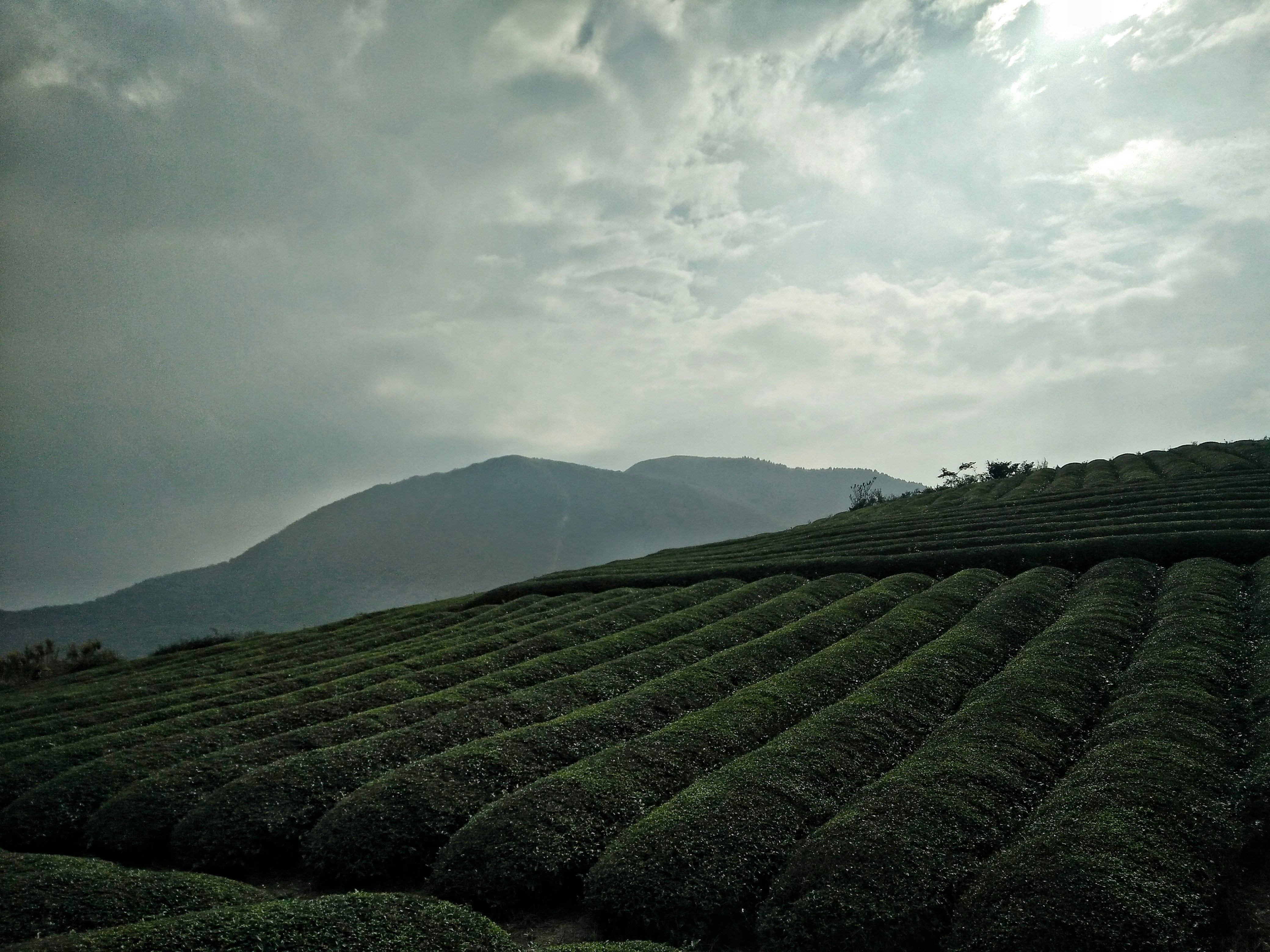 Free Unsplash photo from S hanY