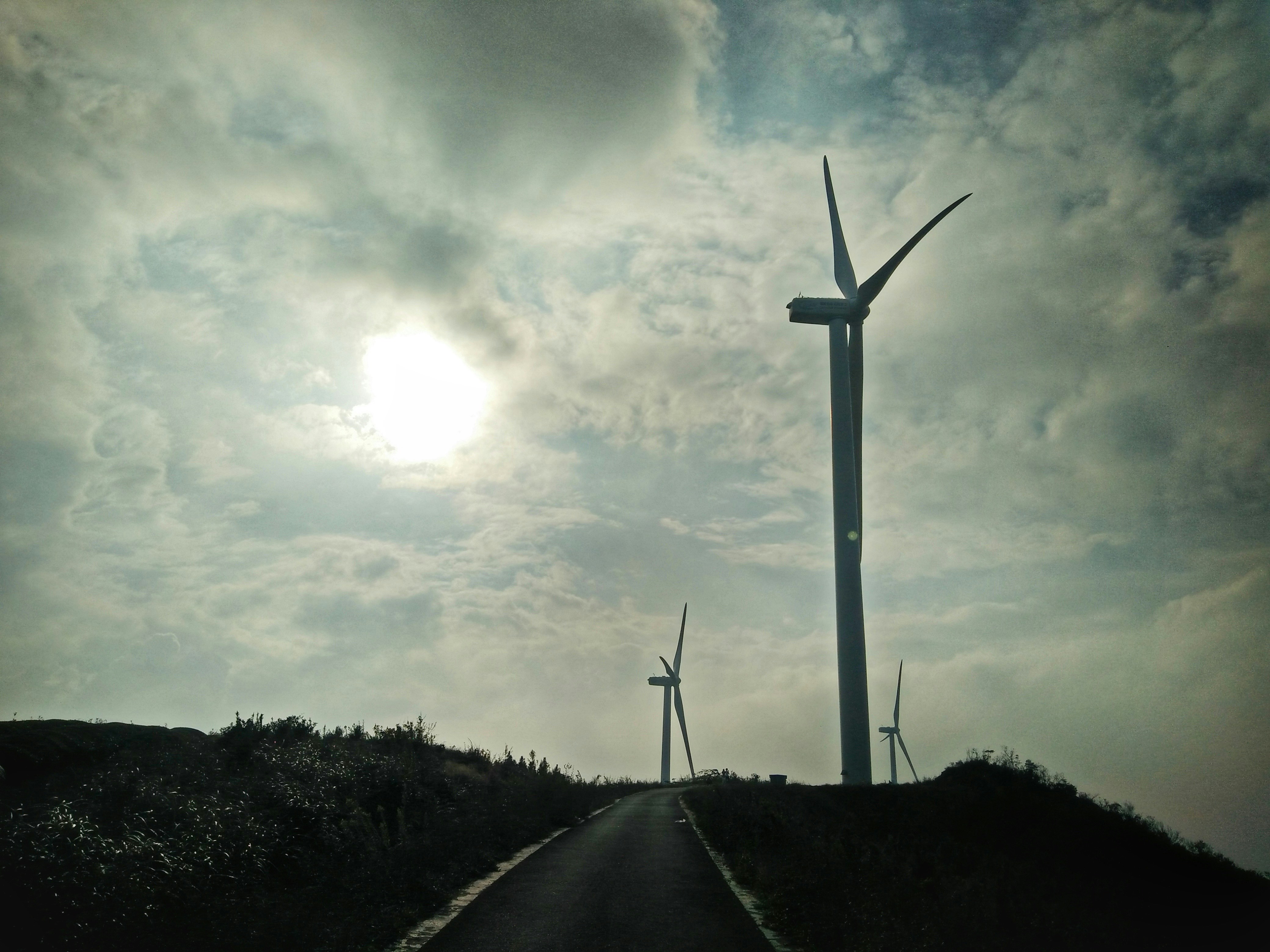 Free Unsplash photo from S hanY