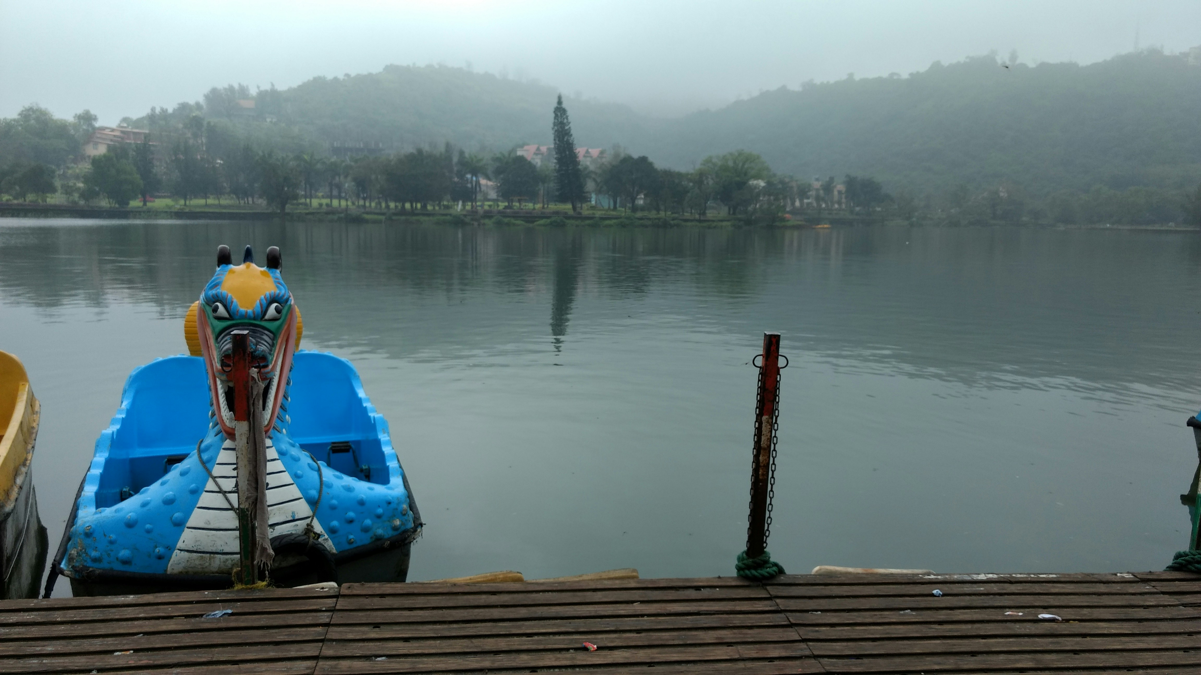 Free Unsplash photo from Jígär Jígär