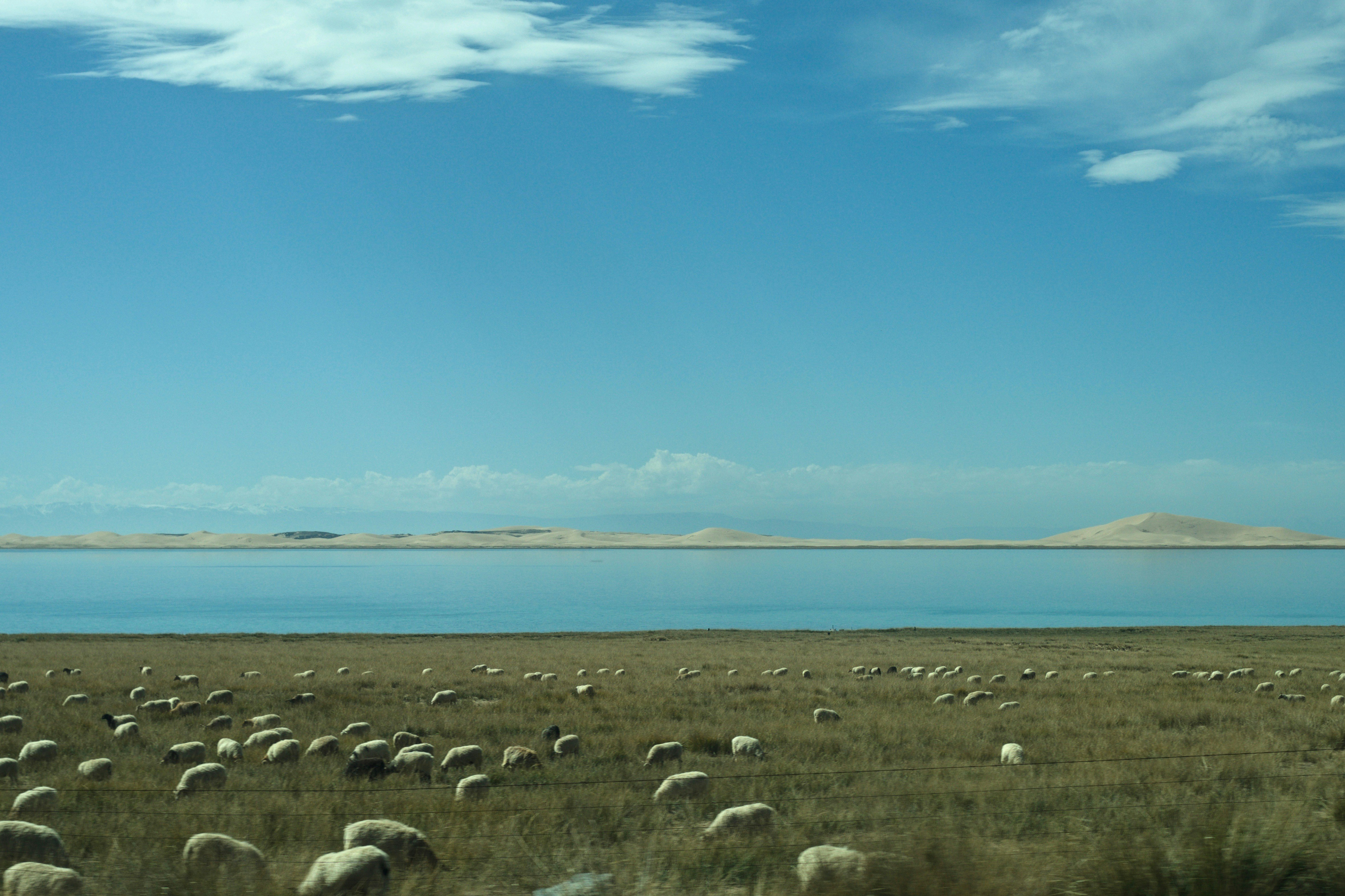 Free Unsplash photo from wu yi