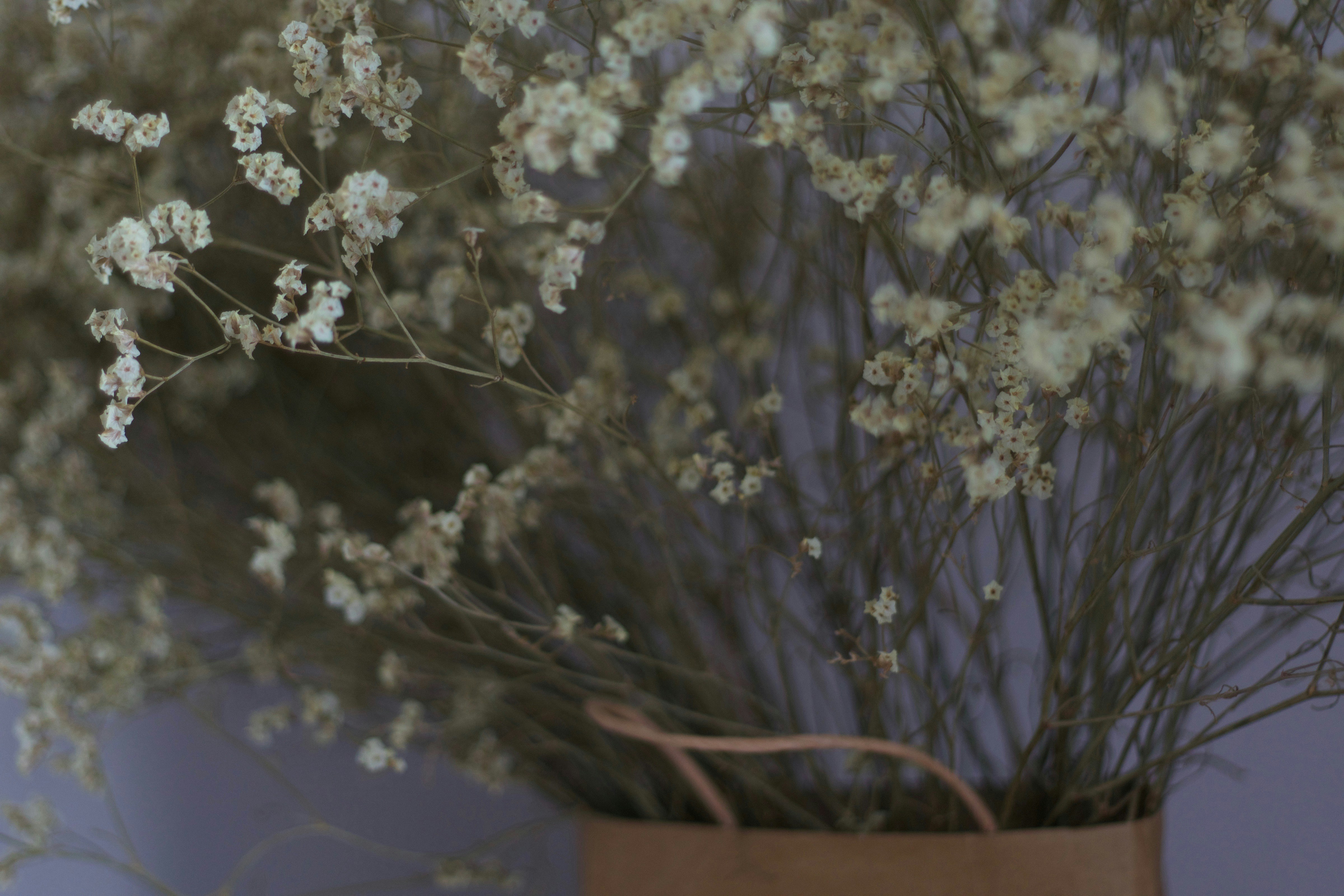 Free Unsplash photo from wu yi