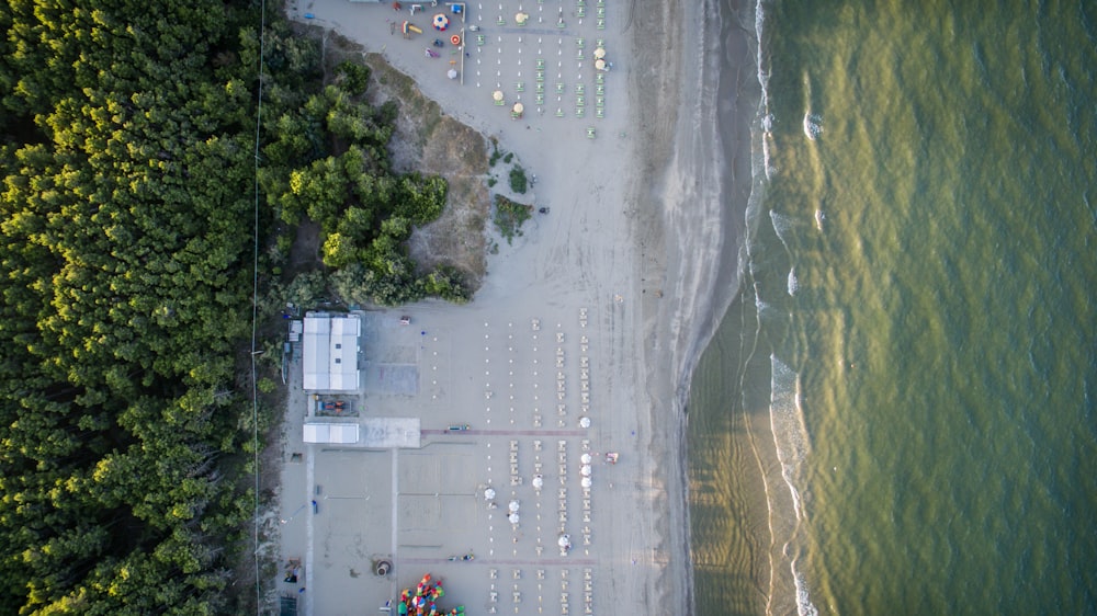 aerial photography of road near trees