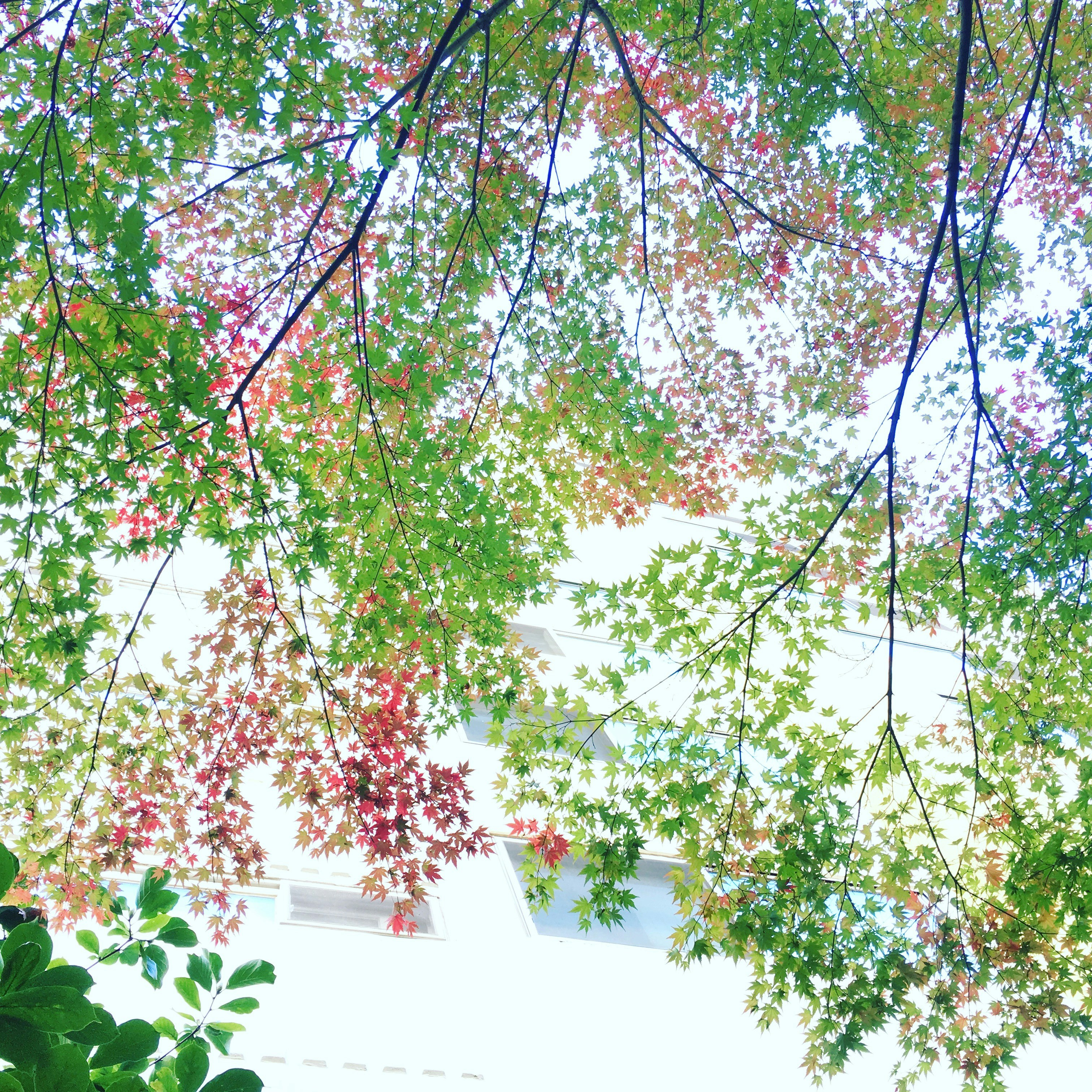 Free Unsplash photo from jungwook shin