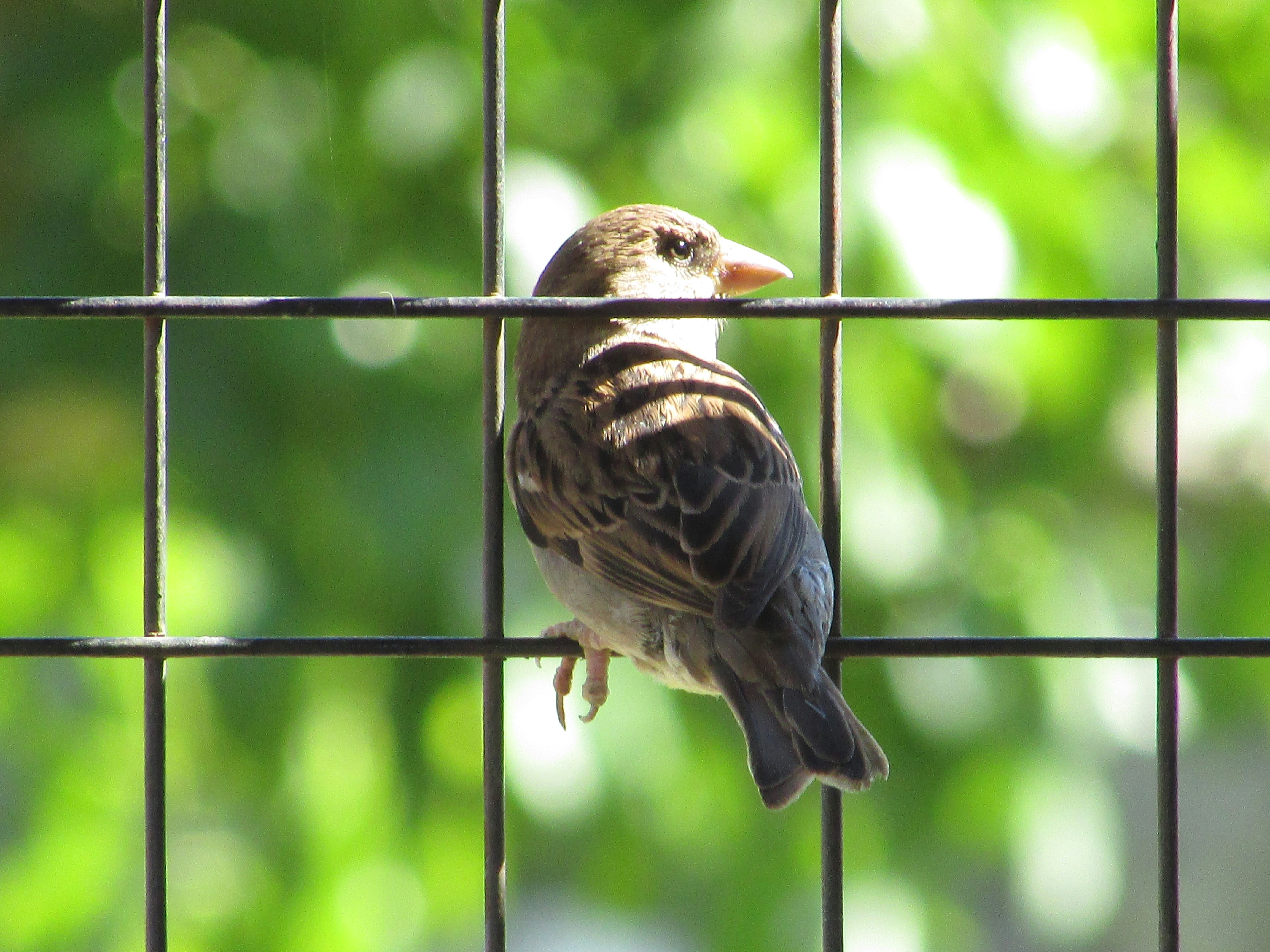 Free Unsplash photo from Ramiro Martinez