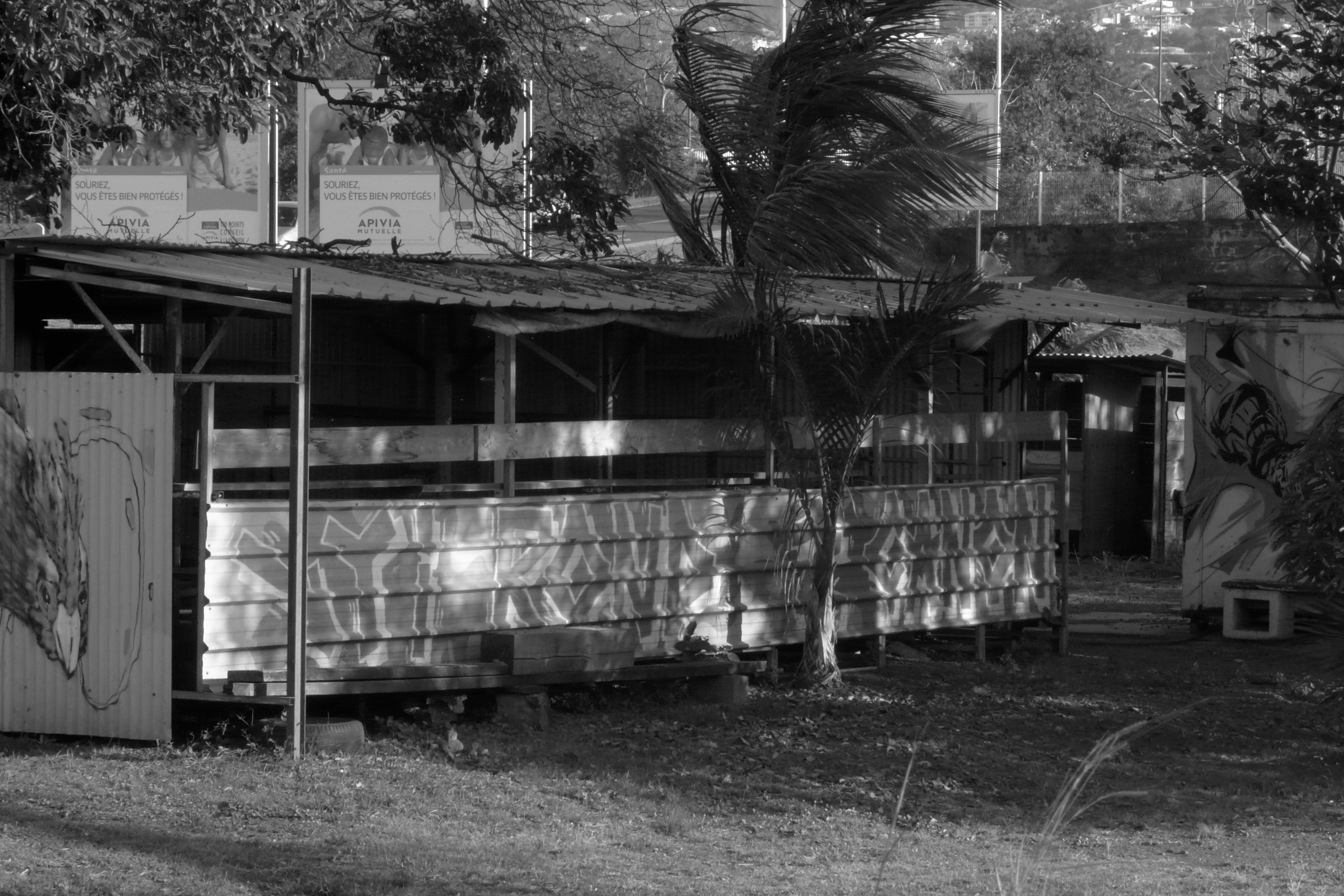 Free Unsplash photo from Robert Emmanuel