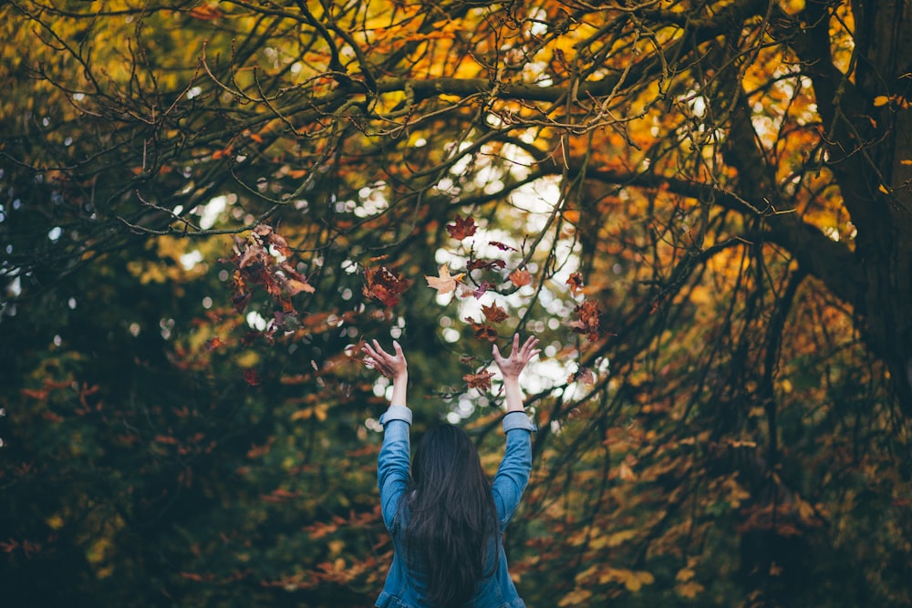 hombre en blusa azul de manga larga debajo del árbol