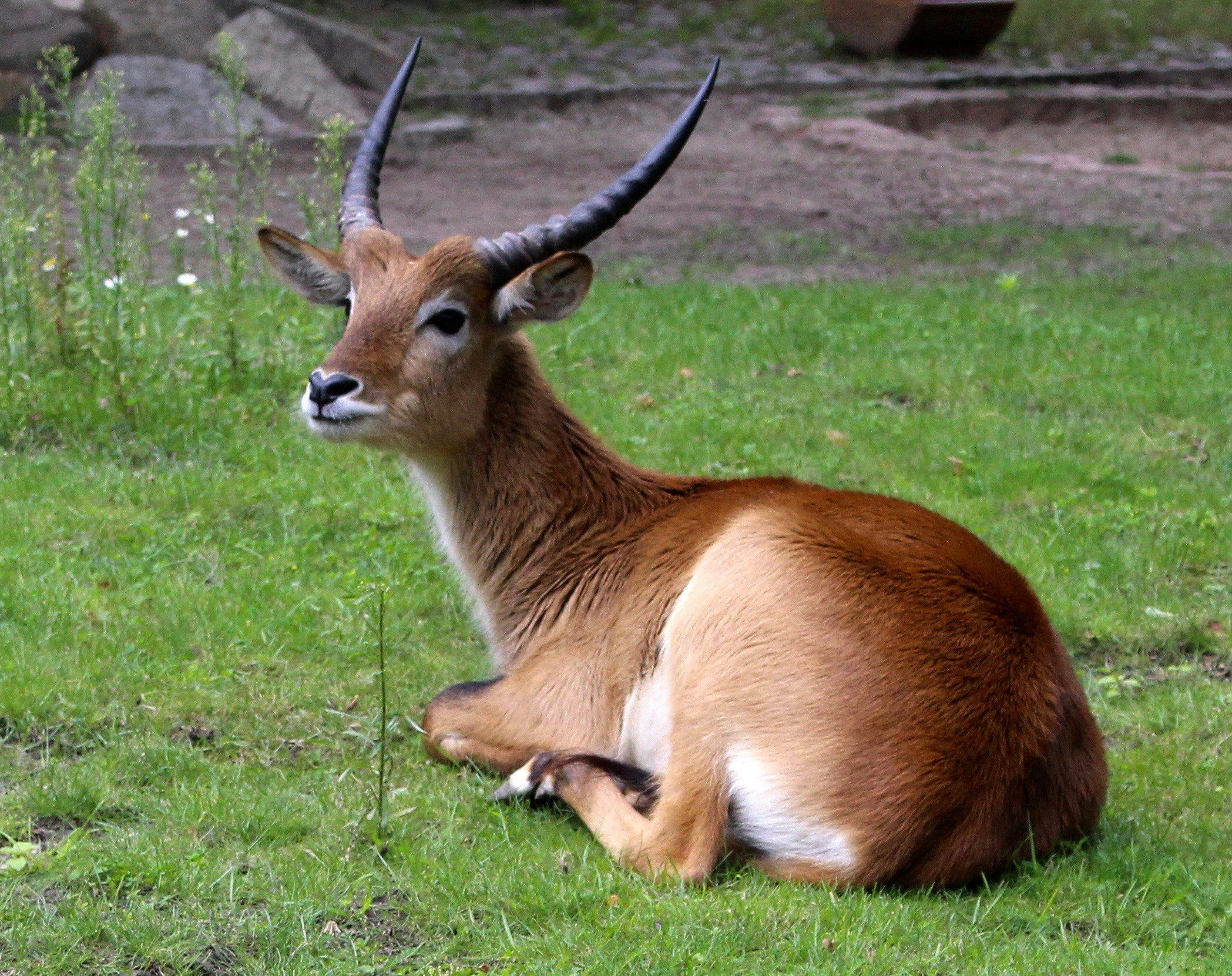 Free Unsplash photo from Emily Morter