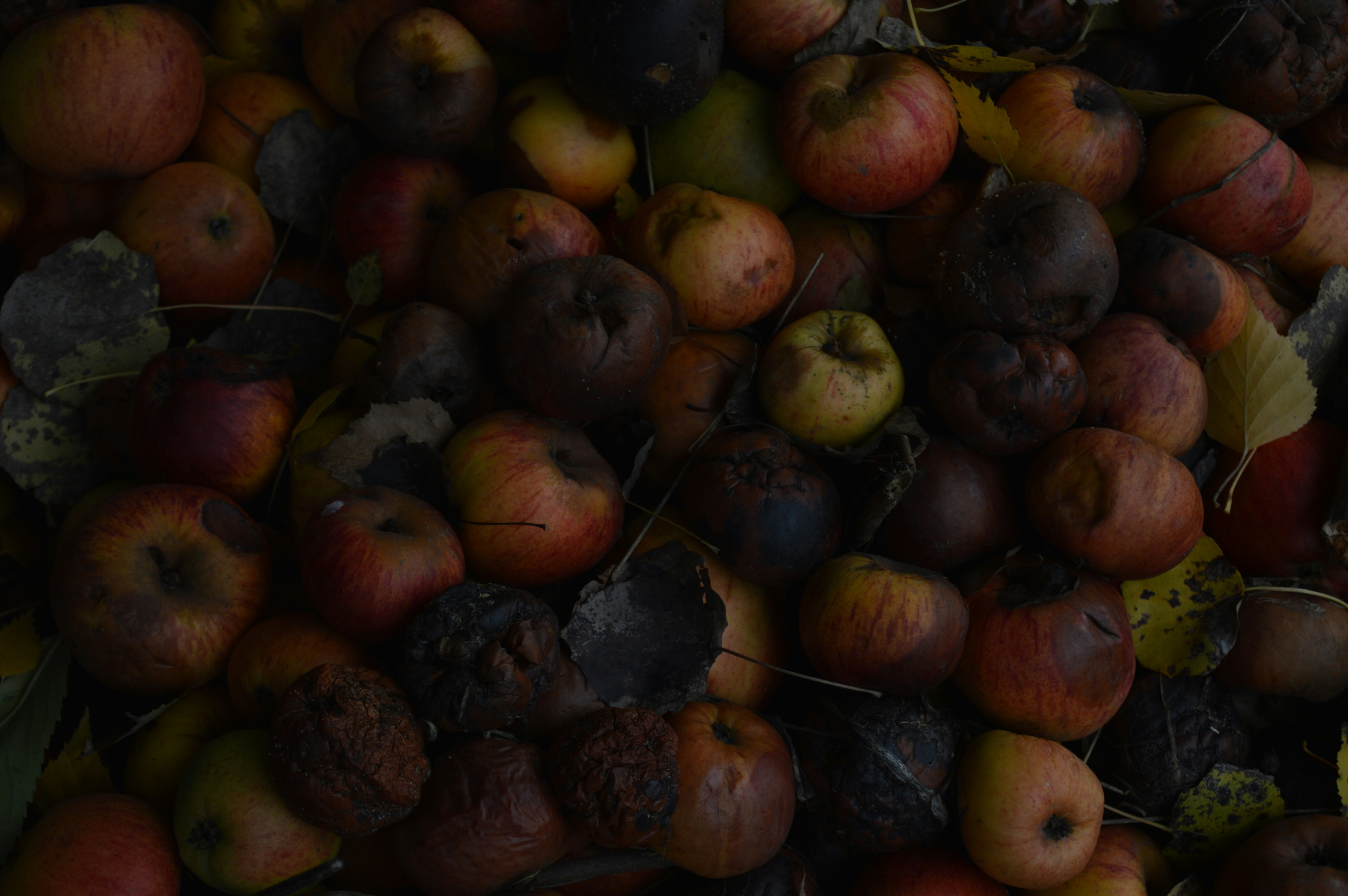 Free Unsplash photo from Ada Napiorkowski