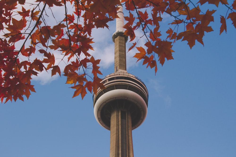 brown and white concrete tower