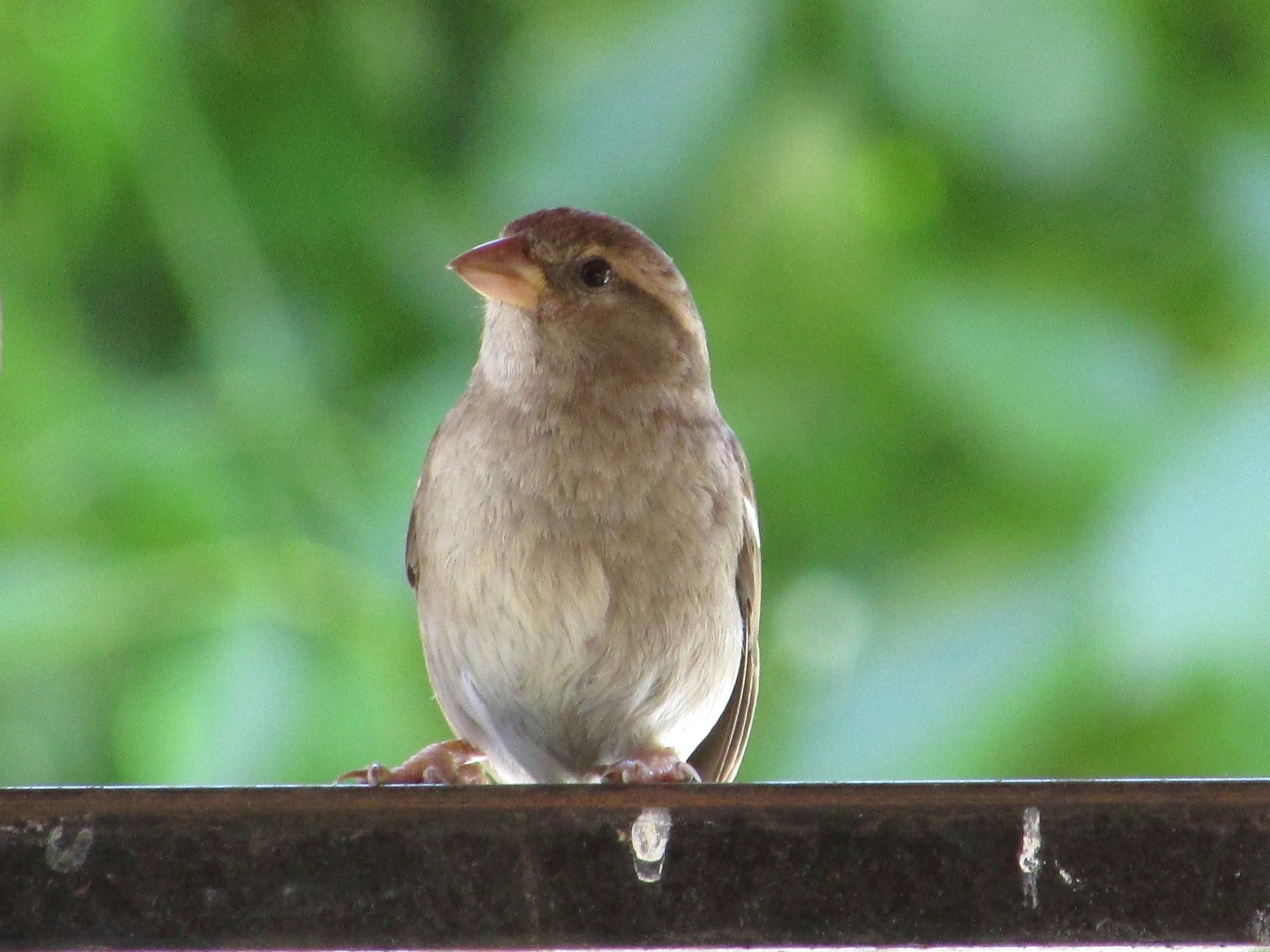 Free Unsplash photo from Ramiro Martinez